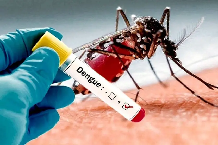 Dengue