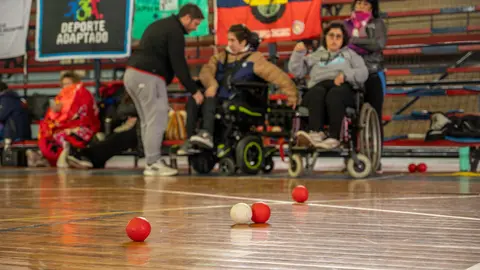 Torneo de Boccia (2)