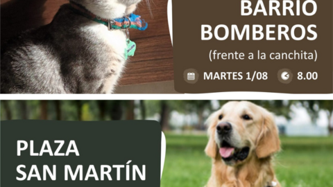 castraciones3